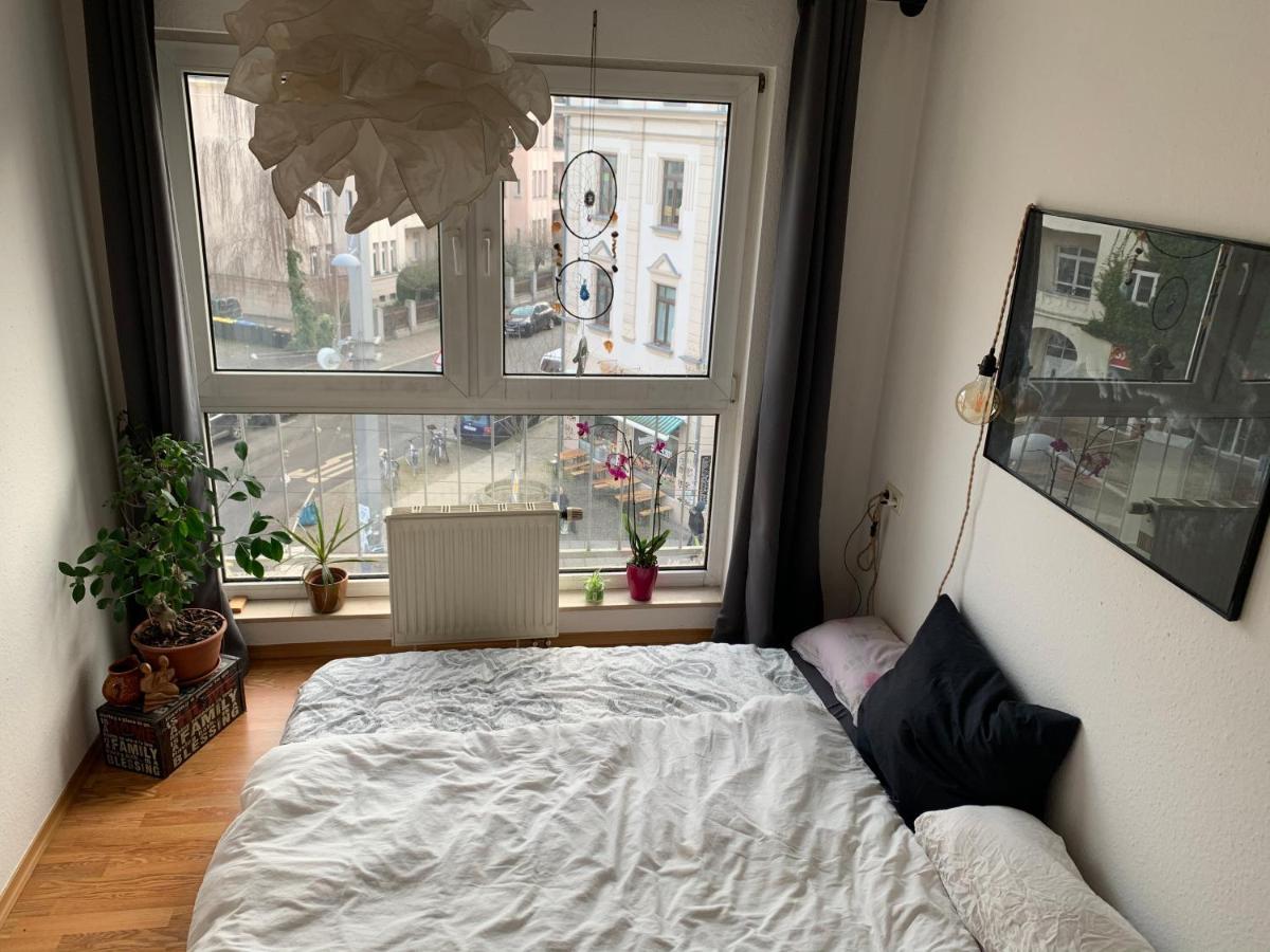 Am Clara-Zetkin-Park, Netflix, Lichtdurchflutet Apartamento Leipzig Exterior foto